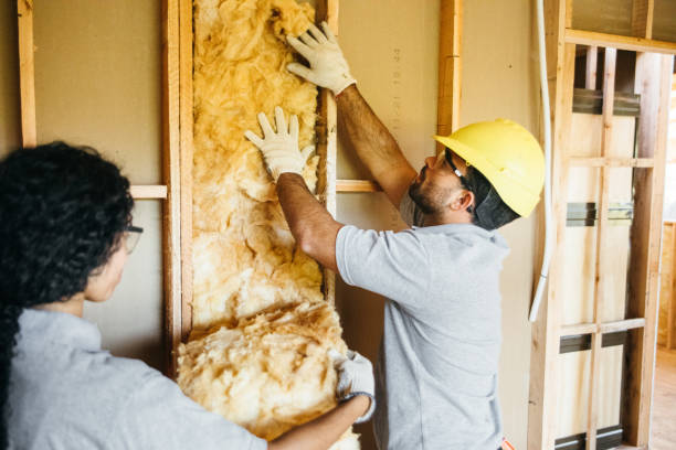 Insulation Repair Services in Connerton, FL