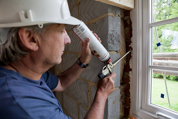 Best Blown-in Insulation  in Connerton, FL