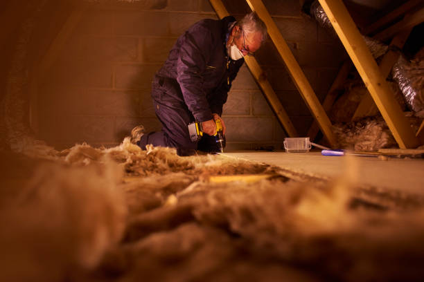 Best Local Insulation Services  in Connerton, FL